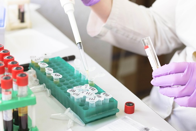 7 Essential Steps to Prepare for Your Hormone Blood Work