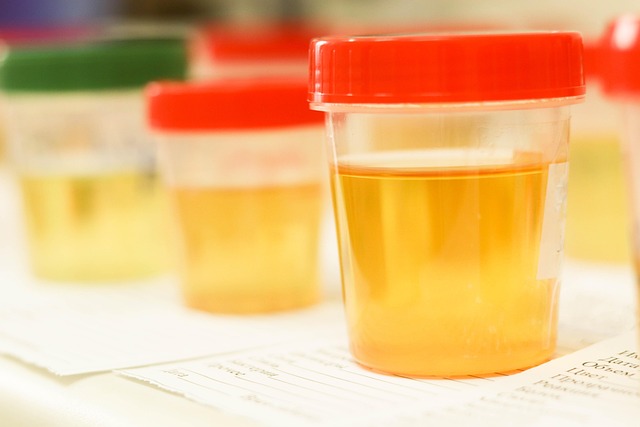 Is the FSH Test Accurate? The Truth About Hormone Testing in Your 40s