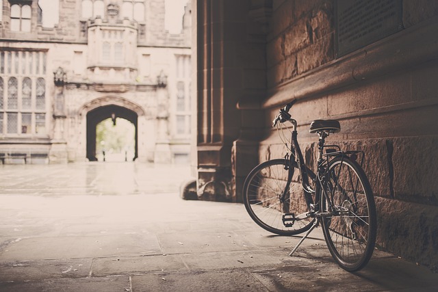 Understanding Your Fertile Window: A Practical Guide to Cycle Tracking