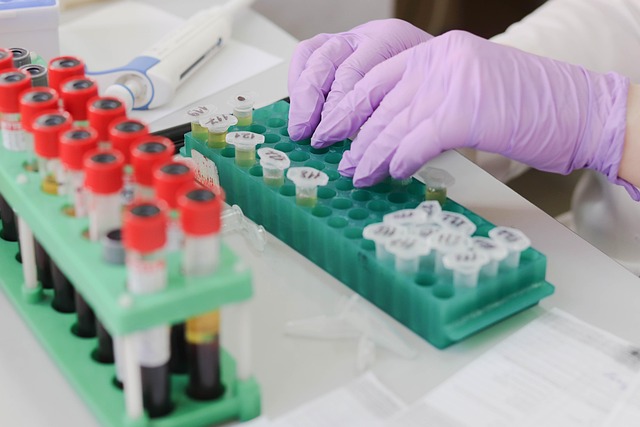 What to Expect During Day 3 Hormone Testing: A Complete Guide